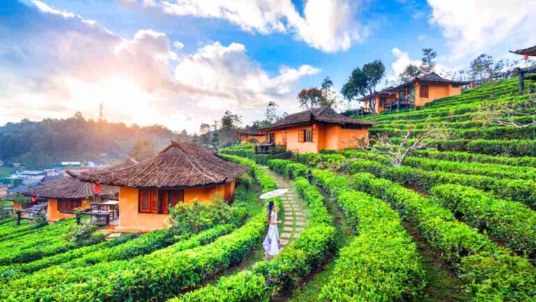 VietJet Air Ibaraki Office in Tokyo VietJet Air Ibaraki Office in Tokyo