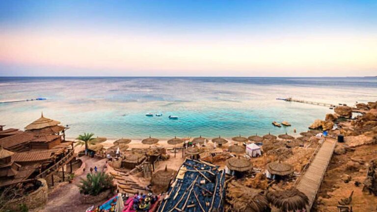 Turkish Airlines Sharm EI Sheikh Office in Egypt