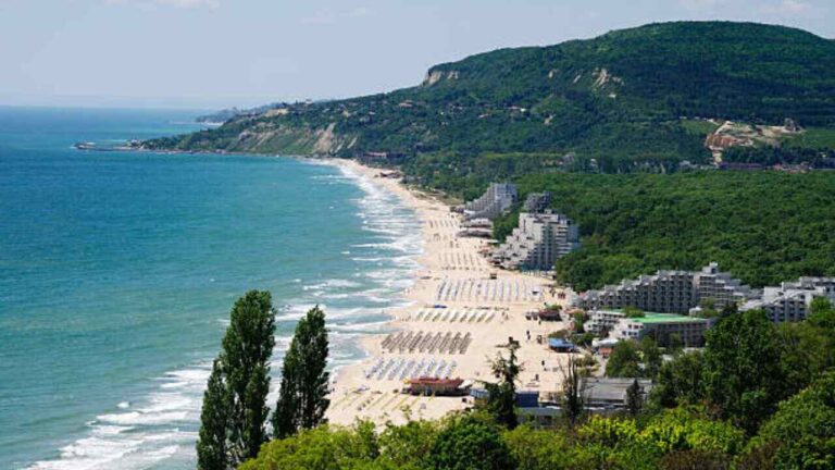 Turkish Airlines Varna Office in Bulgaria