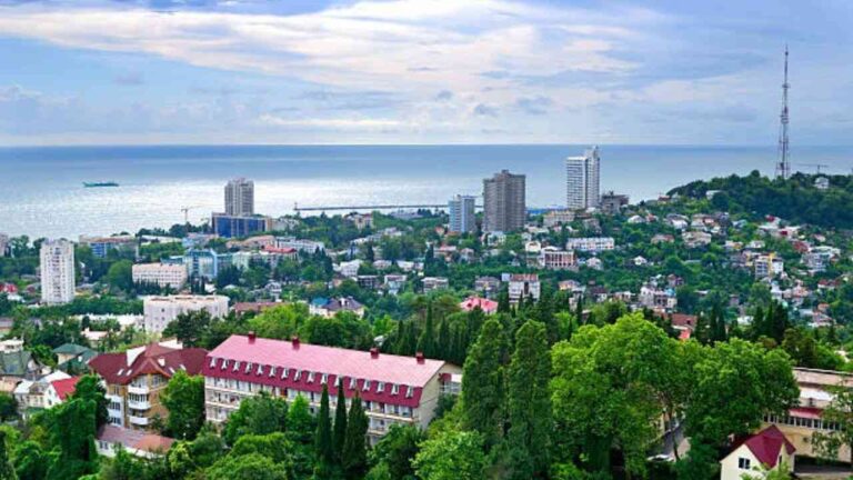 Air Serbia Sochi Office in Russia