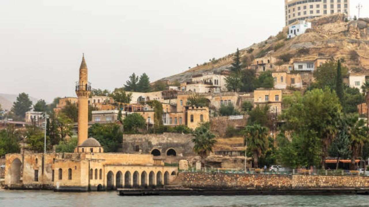 Pegasus Airlines Şanlıurfa Office in Turkey